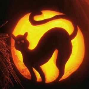 Meet your Posher, Airika